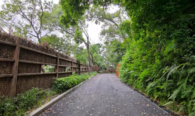 翡翠岛美食 深圳盐田烟墩山国际友好公园拟挂牌为区级湿地公园(图9) 翡翠岛景区_翡翠岛美食_翡翠岛旅游攻略
