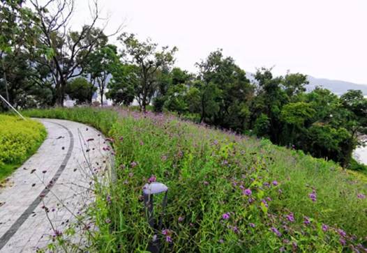 翡翠岛美食 深圳盐田烟墩山国际友好公园拟挂牌为区级湿地公园(图10) 翡翠岛旅游攻略_翡翠岛美食_翡翠岛景区