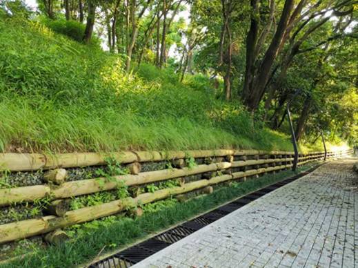 翡翠岛美食 深圳盐田烟墩山国际友好公园拟挂牌为区级湿地公园(图12) 翡翠岛旅游攻略_翡翠岛景区_翡翠岛美食